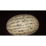 خربزه ماری یاافغانی